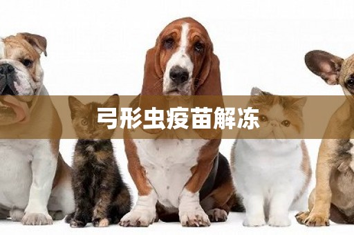 弓形蟲疫苗解凍