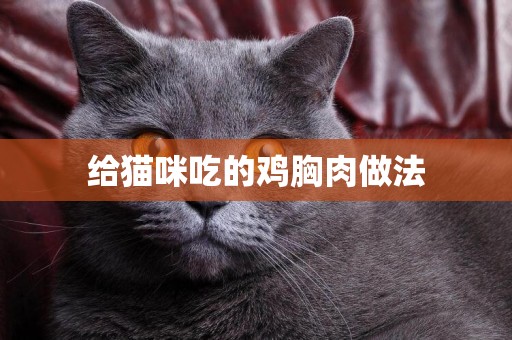 給貓咪吃的雞胸肉做法
