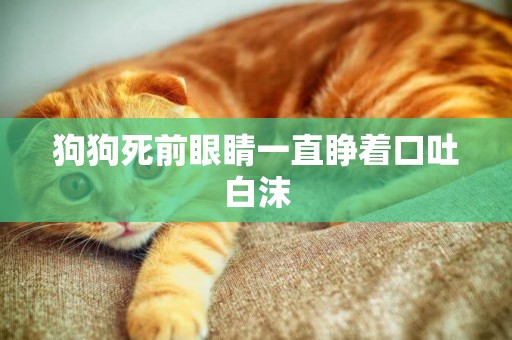 狗狗死前眼睛一直睜著口吐白沫