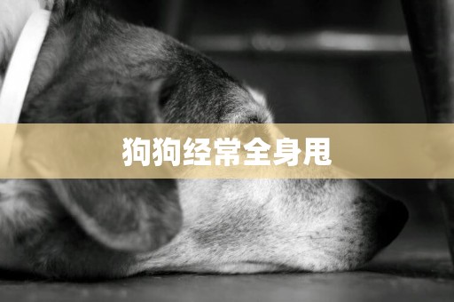 狗狗經常全身甩
