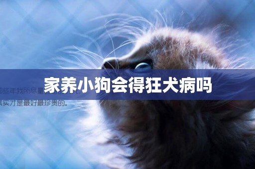 家養小狗會得狂犬病嗎