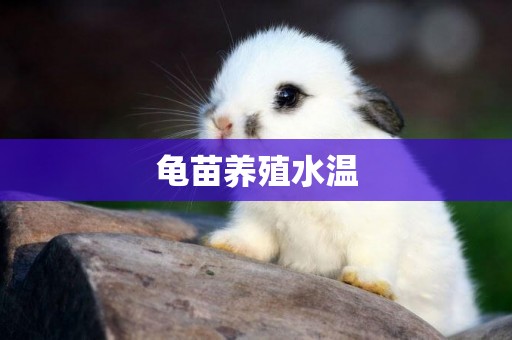 龜苗養殖水溫