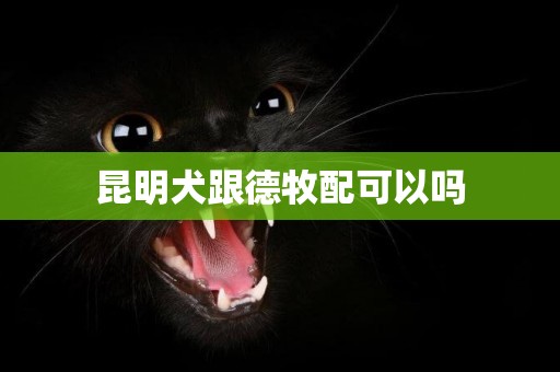 昆明犬跟德牧配可以嗎