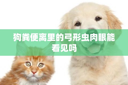 狗糞便離里的弓形蟲肉眼能看見嗎