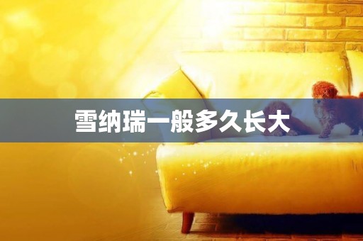 雪納瑞一般多久長大