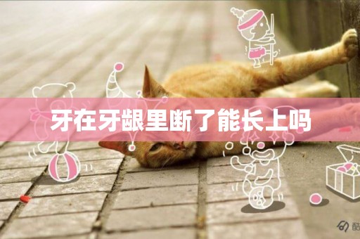 牙在牙齦里斷了能長上嗎