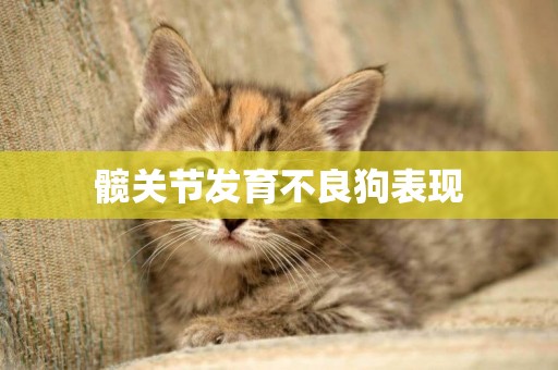髖關節發育不良狗表現