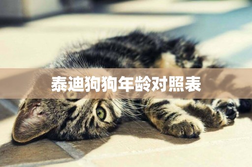 泰迪狗狗年齡對照表