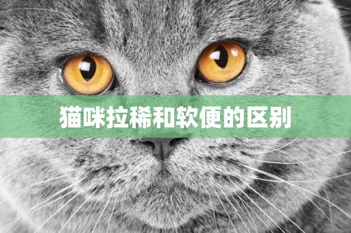 貓咪拉稀和軟便的區別