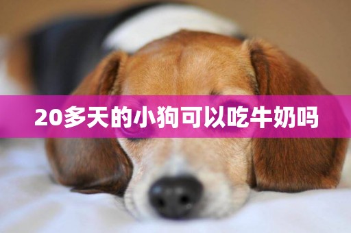 20多天的小狗可以吃牛奶嗎