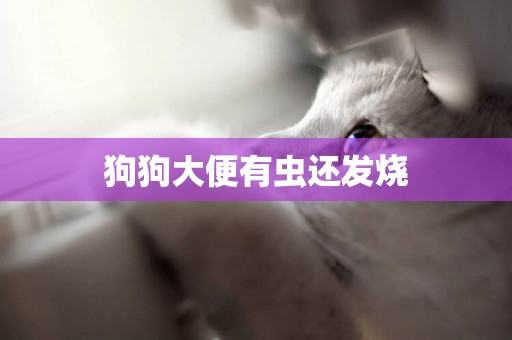 狗狗大便有蟲還發燒
