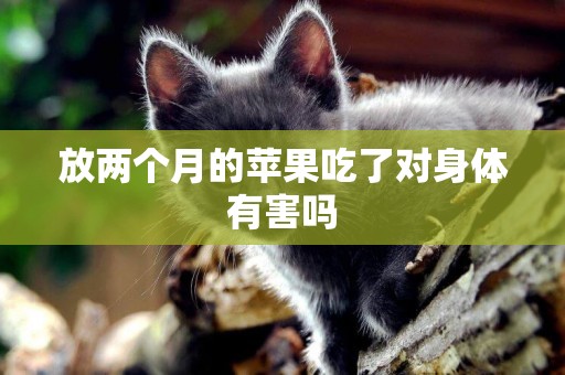 放兩個月的蘋果吃了對身體有害嗎