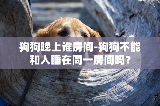 狗狗晚上誰房間-狗狗不能和人睡在同一房間嗎？