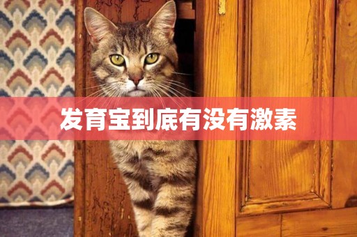 發育寶到底有沒有激素