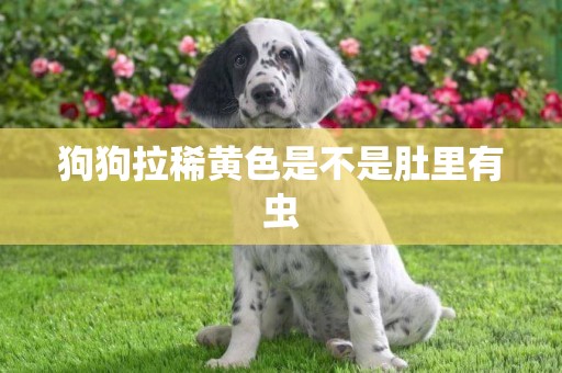 狗狗拉稀黃色是不是肚里有蟲