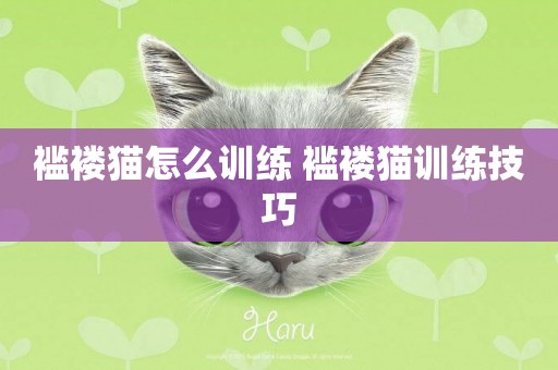 襤褸貓怎么訓練 襤褸貓訓練技巧