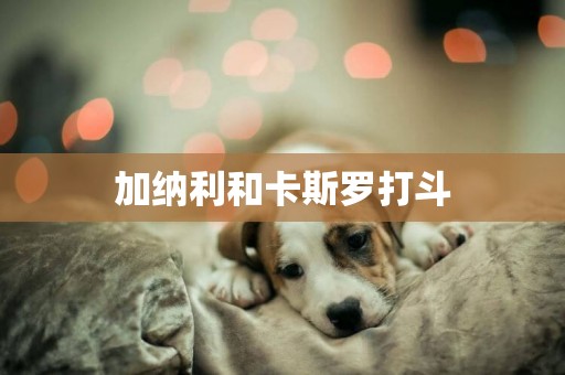 加納利和卡斯羅打斗
