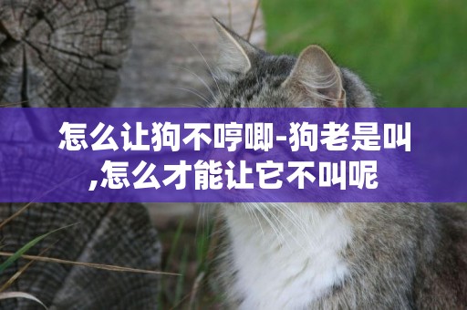 怎么讓狗不哼唧-狗老是叫,怎么才能讓它不叫呢