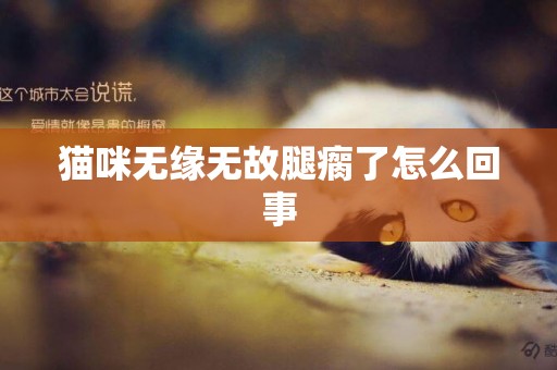 貓咪無緣無故腿瘸了怎么回事