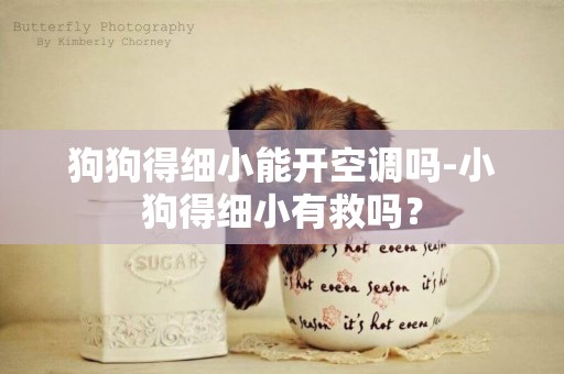 狗狗得細小能開空調嗎-小狗得細小有救嗎？