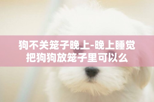 狗不關籠子晚上-晚上睡覺把狗狗放籠子里可以么