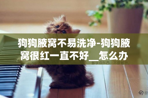 狗狗腋窩不易洗凈-狗狗腋窩很紅一直不好__怎么辦