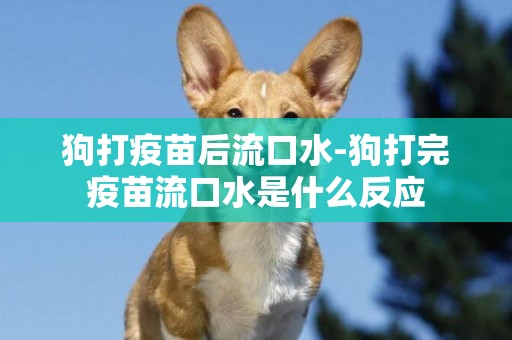 狗打疫苗后流口水-狗打完疫苗流口水是什么反應