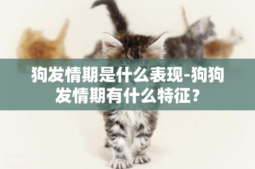 狗發情期是什么表現-狗狗發情期有什么特征？