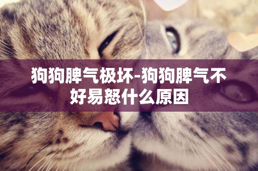 狗狗脾氣極壞-狗狗脾氣不好易怒什么原因