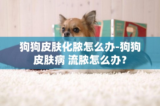 狗狗皮膚化膿怎么辦-狗狗皮膚病 流膿怎么辦？