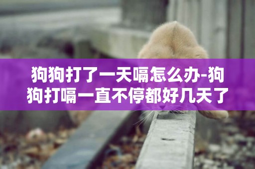 狗狗打了一天嗝怎么辦-狗狗打嗝一直不停都好幾天了