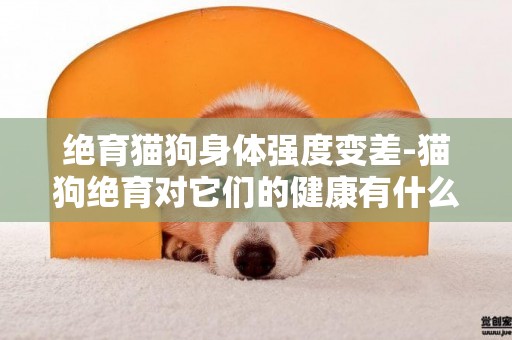 絕育貓狗身體強度變差-貓狗絕育對它們的健康有什么影響？
