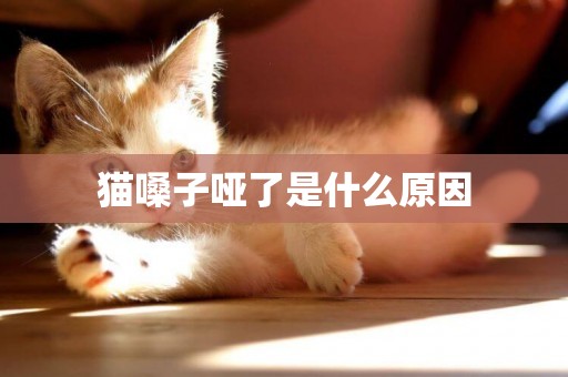 貓嗓子啞了是什么原因