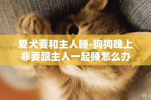 愛犬要和主人睡-狗狗晚上非要跟主人一起睡怎么辦