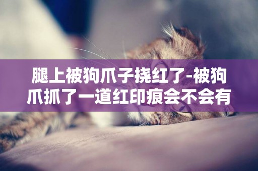 腿上被狗爪子撓紅了-被狗爪抓了一道紅印痕會不會有事