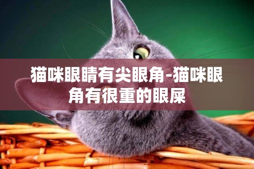 貓咪眼睛有尖眼角-貓咪眼角有很重的眼屎