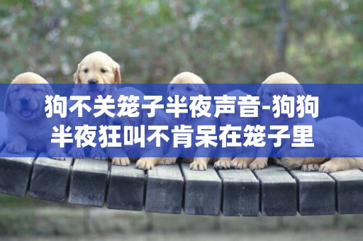 狗不關籠子半夜聲音-狗狗半夜狂叫不肯呆在籠子里