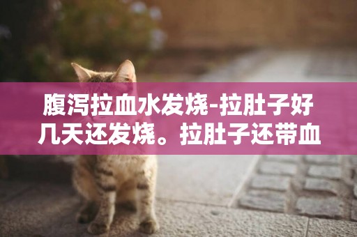 腹瀉拉血水發燒-拉肚子好幾天還發燒。拉肚子還帶血