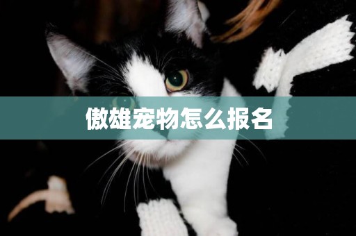 傲雄寵物怎么報名