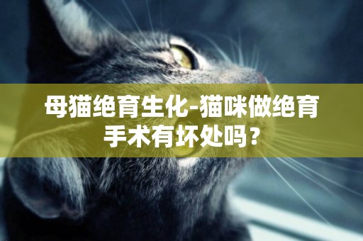 母貓絕育生化-貓咪做絕育手術有壞處嗎？
