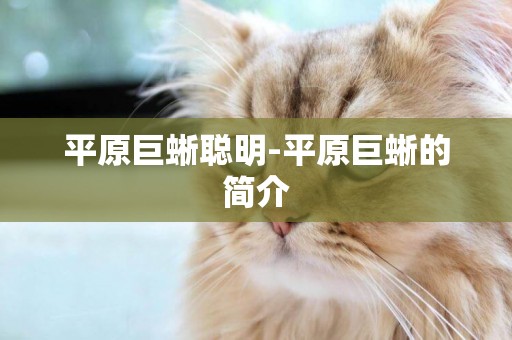 平原巨蜥聰明-平原巨蜥的簡介