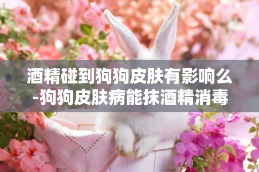 酒精碰到狗狗皮膚有影響么-狗狗皮膚病能抹酒精消毒消炎嗎