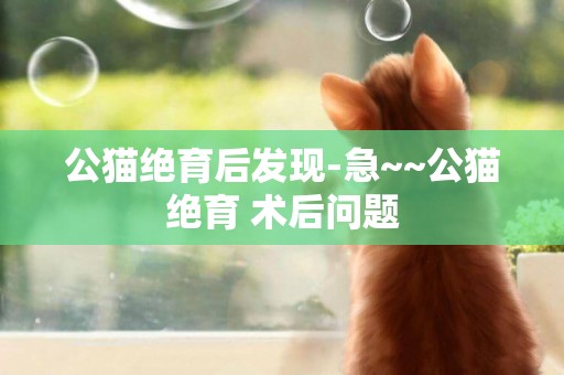 公貓絕育后發現-急~~公貓絕育 術后問題