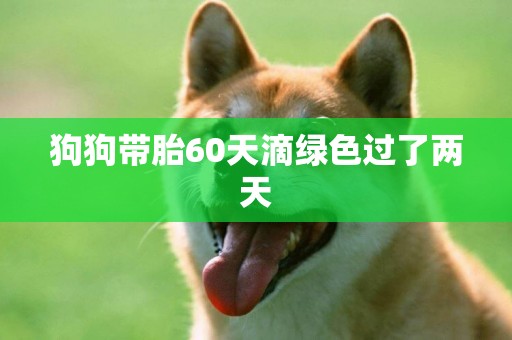 狗狗帶胎60天滴綠色過了兩天