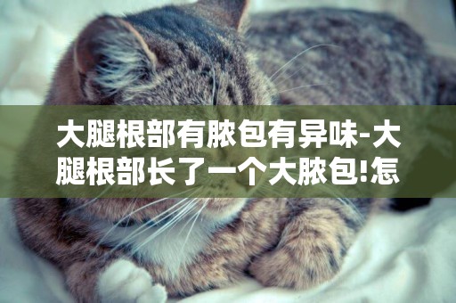 大腿根部有膿包有異味-大腿根部長了一個大膿包!怎么辦?