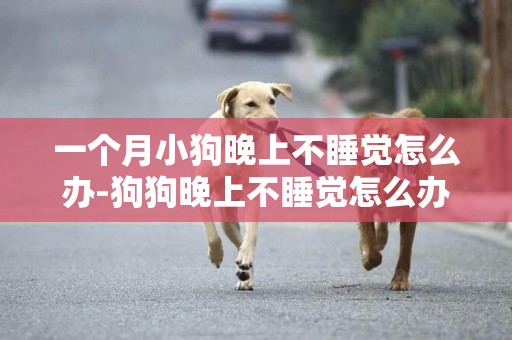 一個月小狗晚上不睡覺怎么辦-狗狗晚上不睡覺怎么辦？