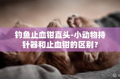 釣魚止血鉗直頭-小動物持針器和止血鉗的區別？