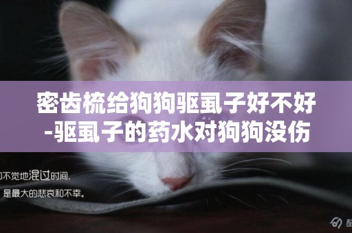 密齒梳給狗狗驅虱子好不好-驅虱子的藥水對狗狗沒傷害吧