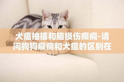 犬瘟抽搐和腦損傷癲癇-請問狗狗癲癇和犬瘟的區別在哪