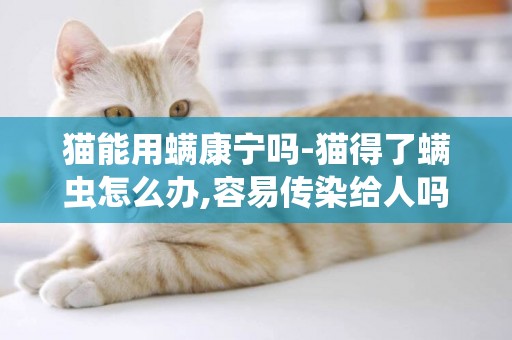 貓能用螨康寧嗎-貓得了螨蟲怎么辦,容易傳染給人嗎?
